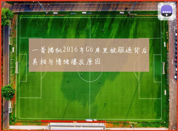 一哥揭秘2016年G6库里被驱逐背后真相与情绪爆发原因