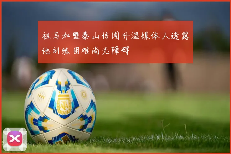 祖马加盟泰山传闻升温媒体人透露他训练困难尚无障碍